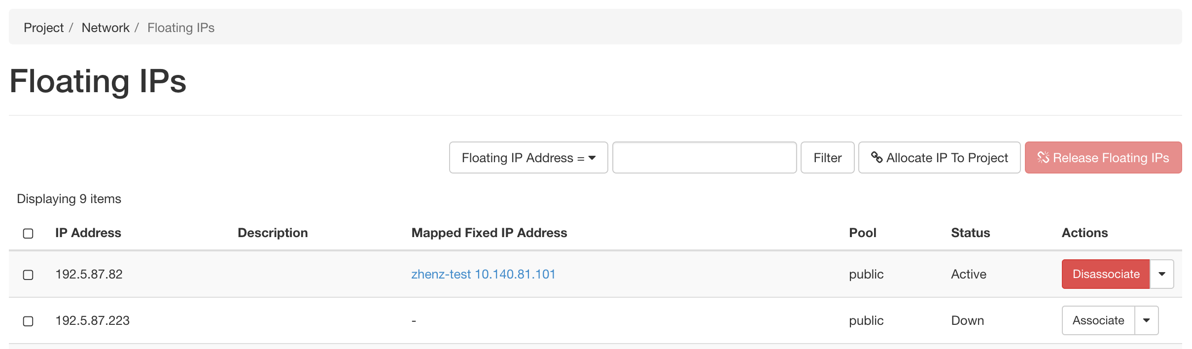 The Floating IP list view with a Floating IP available