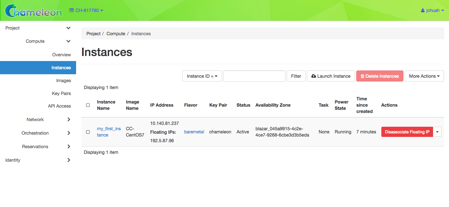 An instance with an allocated Floating IP