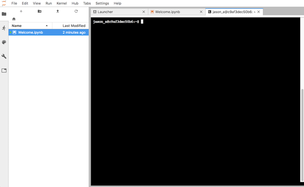 The web terminal console in JupyterLab