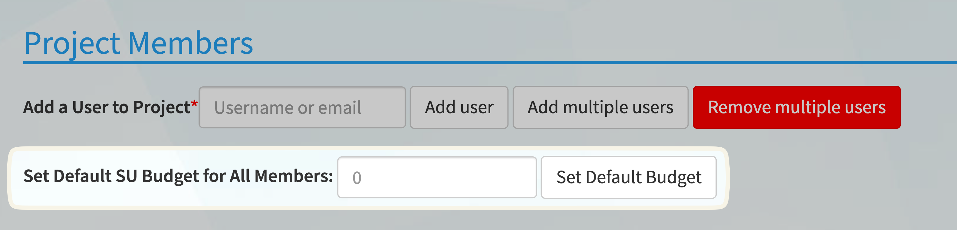 Set project default budget
