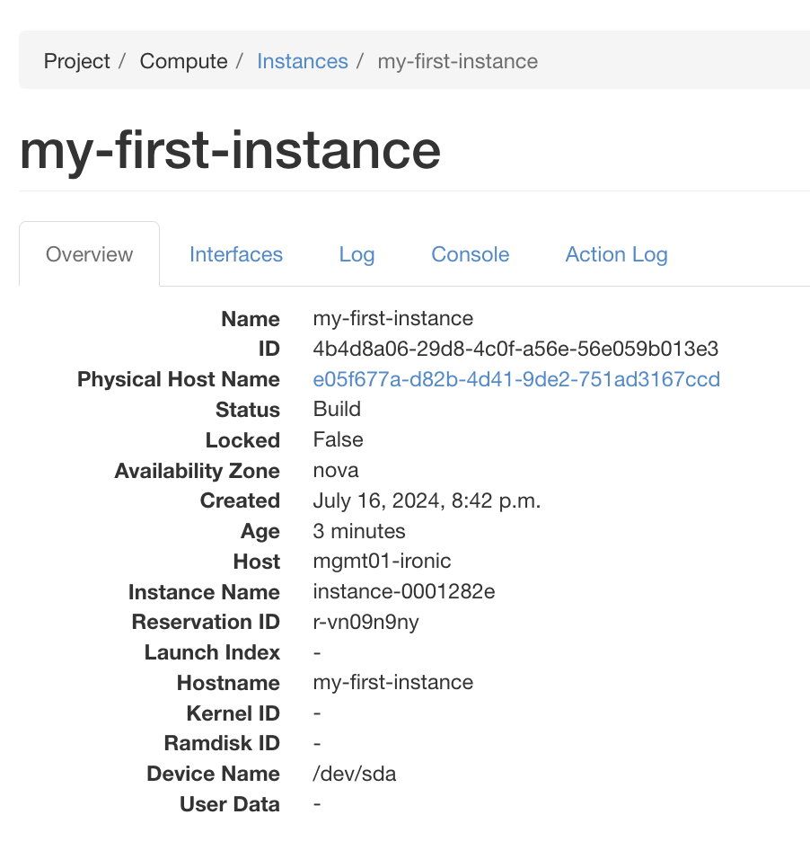 ../_images/instance-details.png
