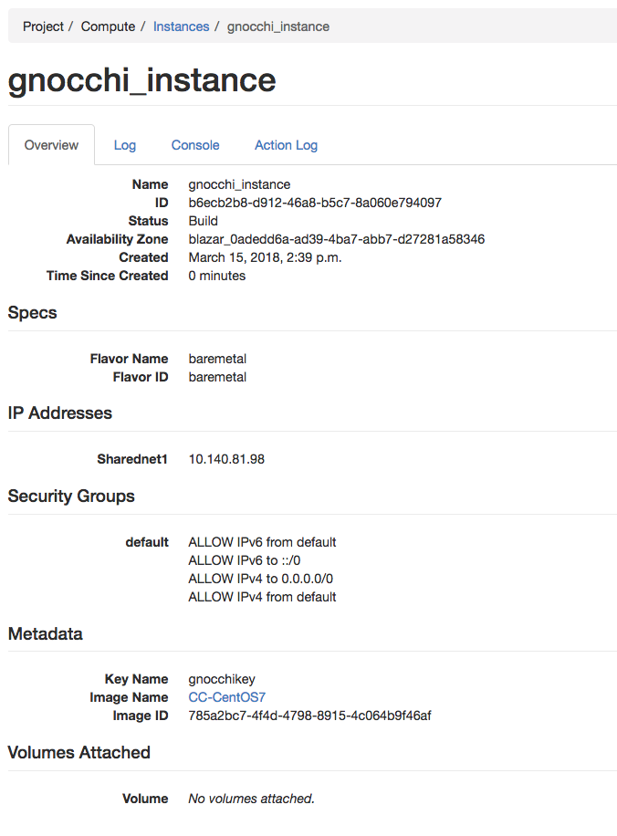 Instance details