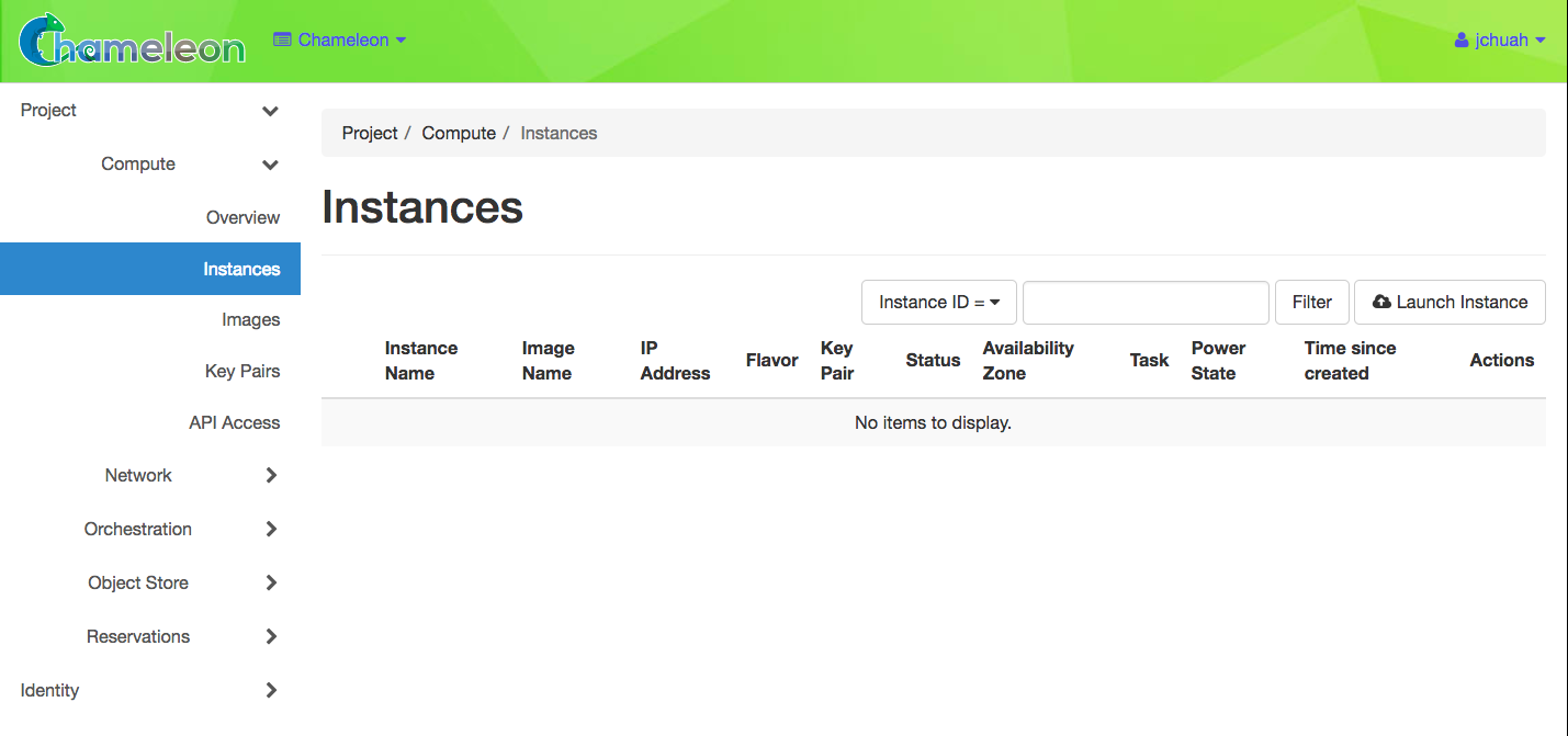 The Instances page